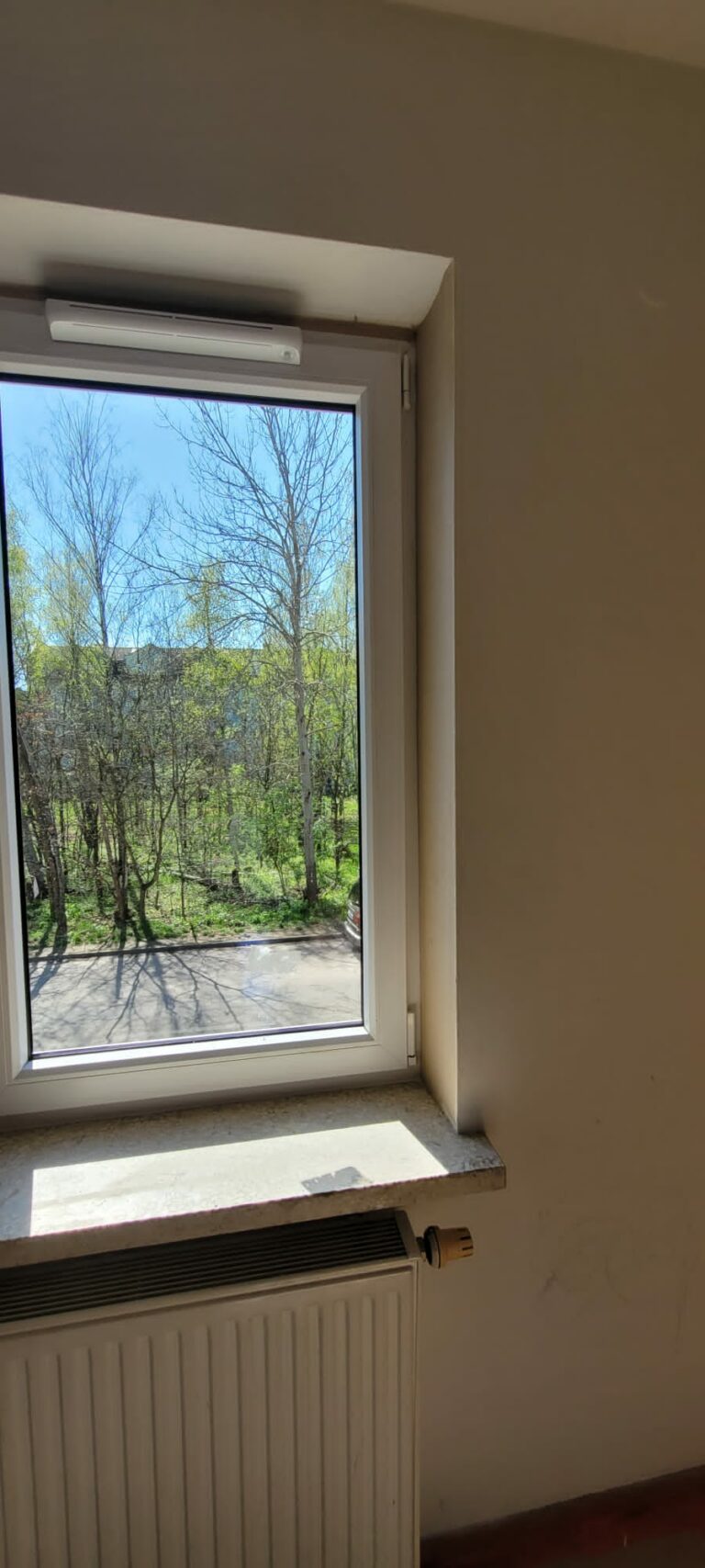 okno antywłamaniowe z widokiem na ogród